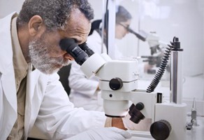 醫(yī)療健康領域